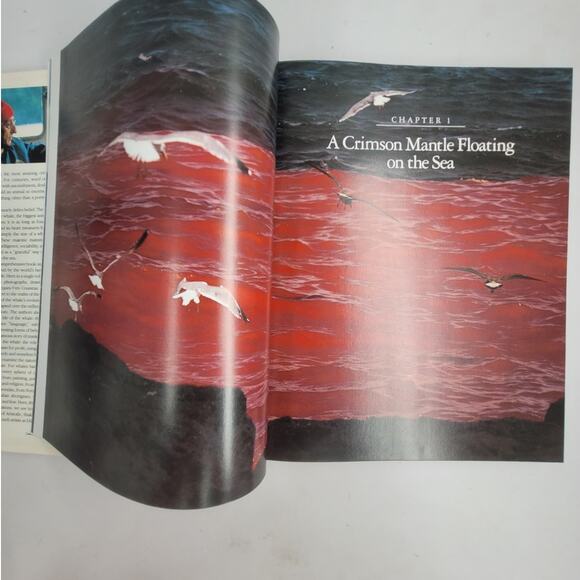 Jacques Cousteau Whales 1986 Hardcover Marine‎ Ocean Life Book Wildlife Photos - Picture 8 of 11